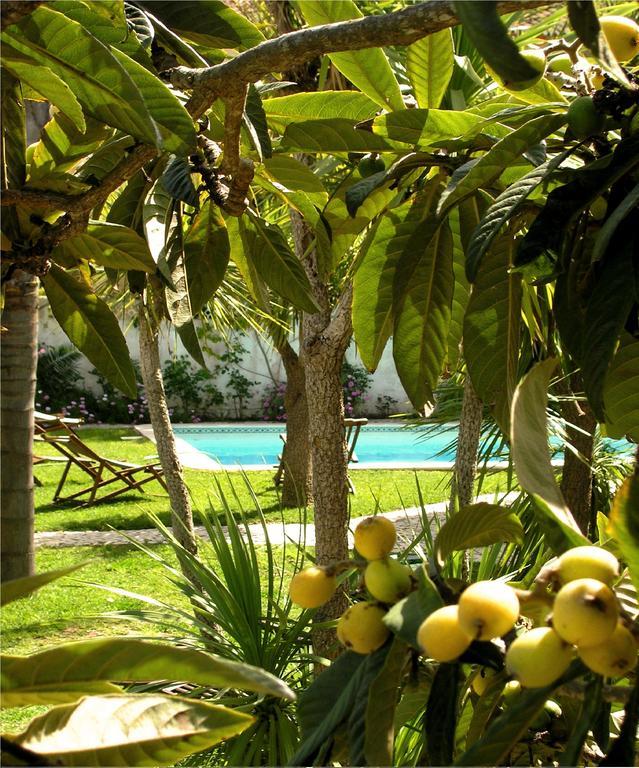 Uma Casa A Beira Sol Bed & Breakfast Лагос Екстериор снимка
